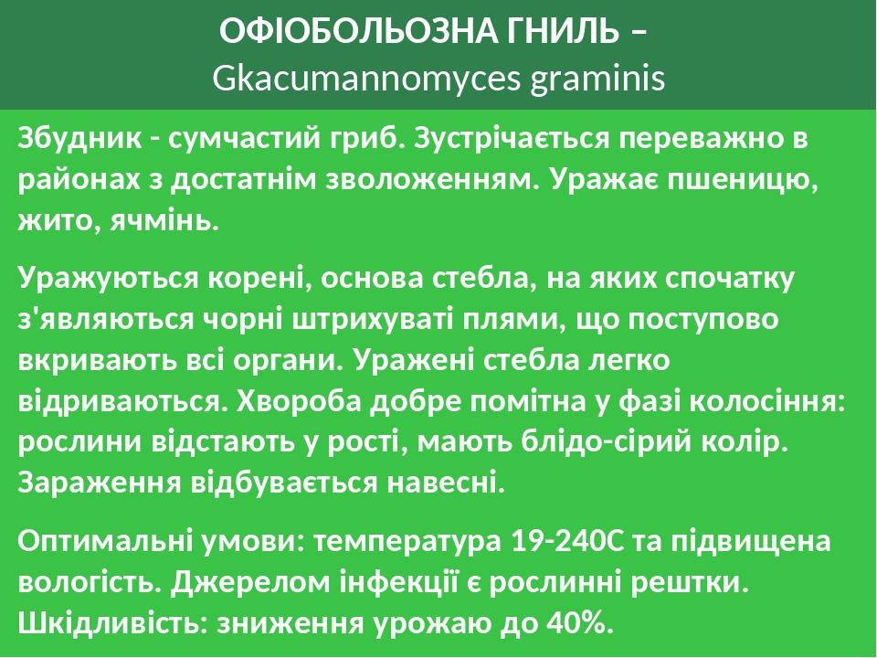 ОФІОБОЛЬОЗНА ГНИЛЬ – Gkacumannomyces graminis Збудник - сумчастий гриб. Зустрічається переважно в районах з достатнім зволоженням. Уражає пшеницю, ...