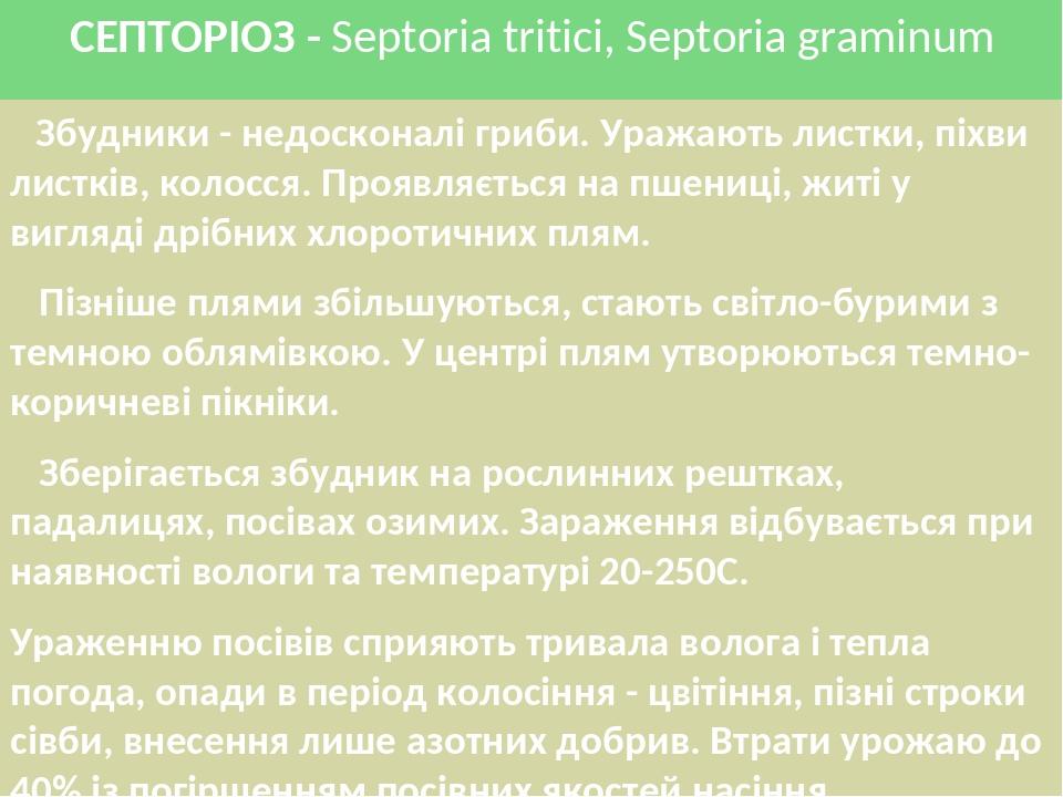 СЕПТОРІОЗ - Septoria tritici, Septoria graminum Збудники - недосконалі гриби. Уражають листки, піхви листків, колосся. Проявляється на пшениці, жит...