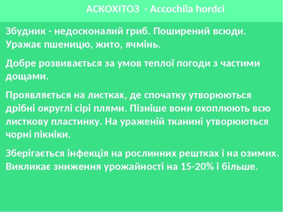 АСКОХІТОЗ - Accochila hordci Збудник - недосконалий гриб. Поширений всюди. Уражає пшеницю, жито, ячмінь. Добре розвивається за умов теплої погоди з...