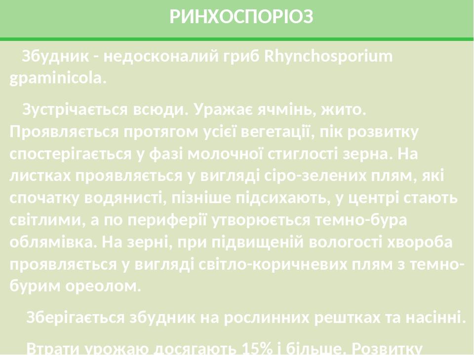 РИНХОСПОРІОЗ Збудник - недосконалий гриб Rhynchosporium gpaminicola. Зустрічається всюди. Уражає ячмінь, жито. Проявляється протягом усієї вегетаці...