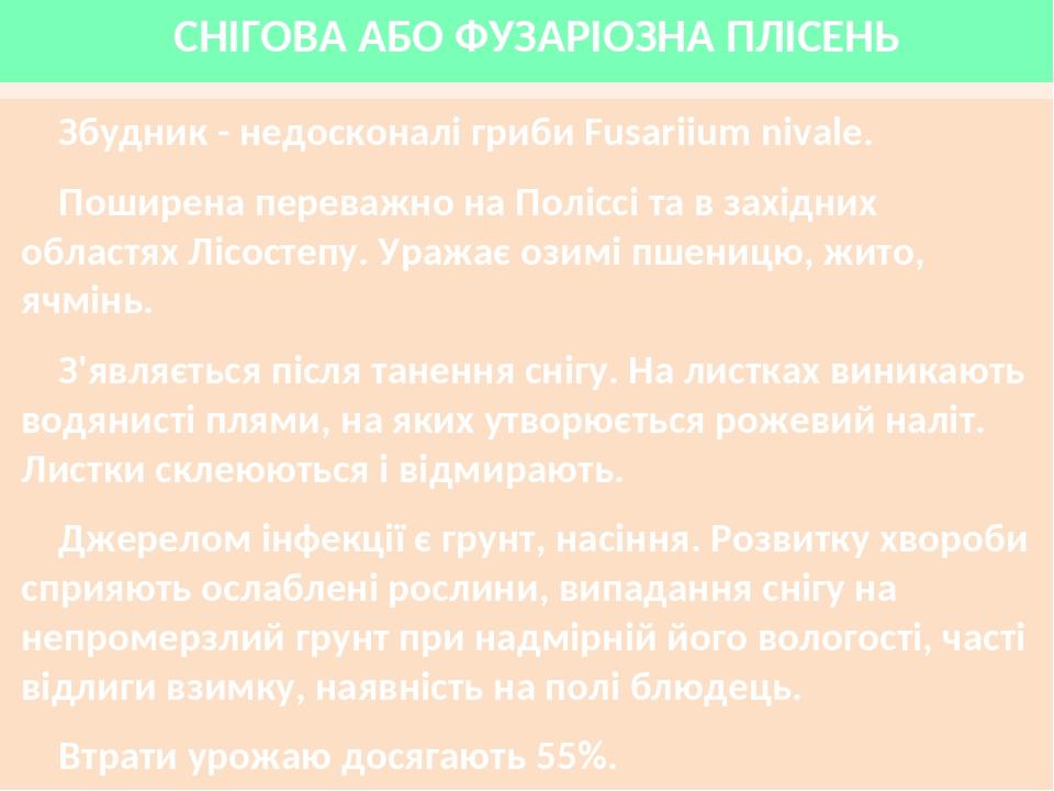 СНІГОВА АБО ФУЗАРІОЗНА ПЛІСЕНЬ Збудник - недосконалі гриби Fusariium nivale. Поширена переважно на Поліссі та в західних областях Лісостепу. Уражає...
