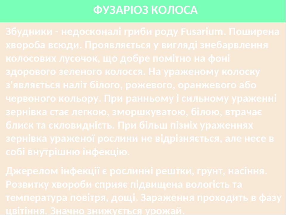 ФУЗАРІОЗ КОЛОСА Збудники - недосконалі гриби роду Fusarium. Поширена хвороба всюди. Проявляється у вигляді знебарвлення колосових лусочок, що добре...