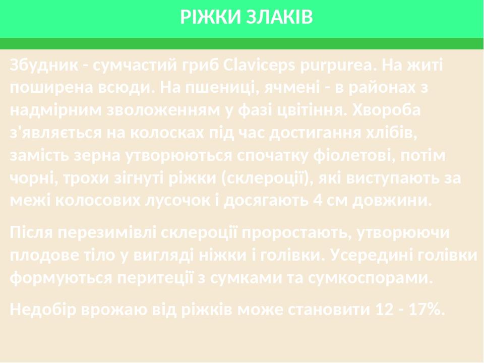 РІЖКИ ЗЛАКІВ Збудник - сумчастий гриб Claviceps purpurea. На житі поширена всюди. На пшениці, ячмені - в районах з надмірним зволоженням у фазі цві...