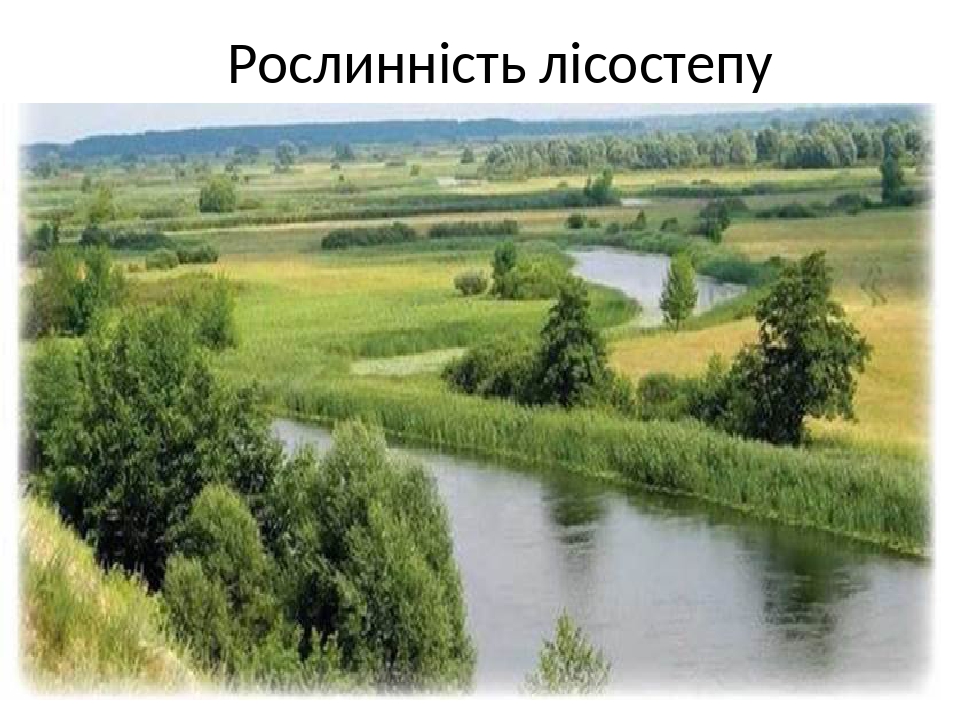 Презентація до уроку географії у 8 класі \