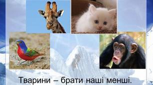 А. Коваль "Наші менші брати" та С. Мацюцький "Кому дістався бублик"