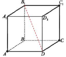 0100dpdn-739f-226x193.jpg