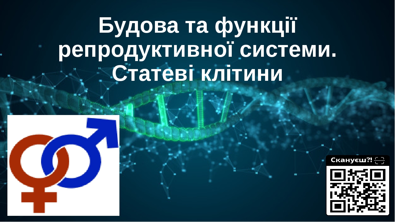 Будова та функції репродуктивної системи. Статеві клітини