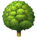 Deciduous Tree