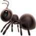 Honeybee