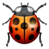 Lady Beetle