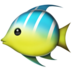 Tropical Fish