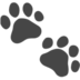 Paw Prints