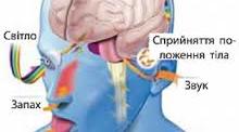 Сенсорні системи