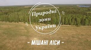 Мішані ліси (Полісся)