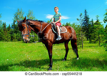 Learn to ride horse. The boy is riding a horse in the park. sunny ...