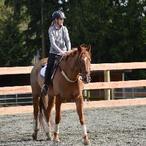 Live Breath Ride (@WCBProbs) | Twitter