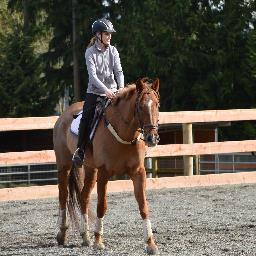 Live Breath Ride (@WCBProbs) | Twitter