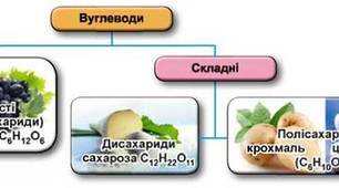 (Копія) Вуглеводи. Дисахариди. Полісахариди.