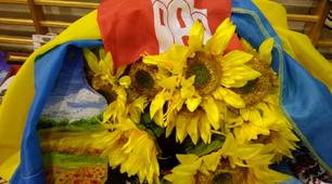 МІЖНАРОДНИЙ ПРОЕКТ     «Європейська співдружність »