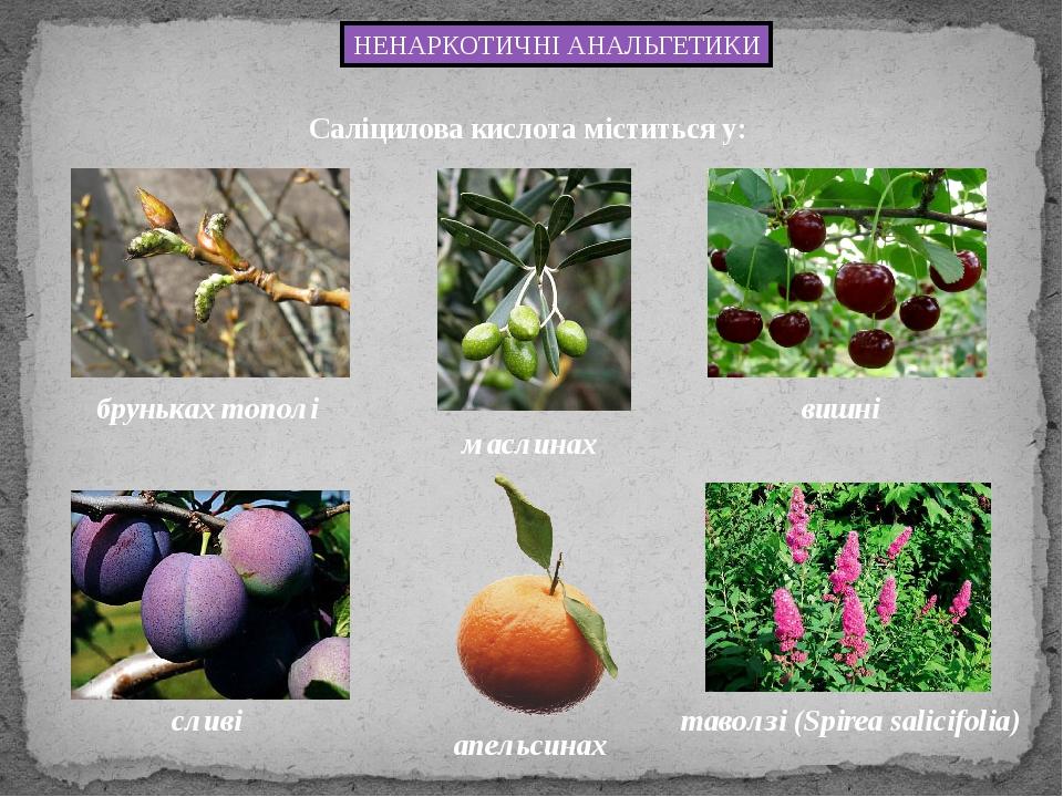 НЕНАРКОТИЧНІ АНАЛЬГЕТИКИ Cаліцилова кислота міститься у: таволзі (Spirea salicifolia) бруньках тополі маслинах вишні сливі апельсинах