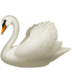 Swan