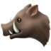 Boar