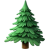 Evergreen Tree