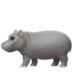 Hippopotamus