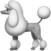 Poodle