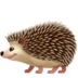 Hedgehog