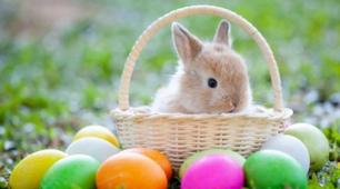 Відео розважального характеру на тему пасхальні атрибути (entertainment video about easter attributes) цікаве відео розважального характеру що допоможе описати різні атрибути святкування великодня