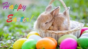 Урок на тему "Easter is coming!"
