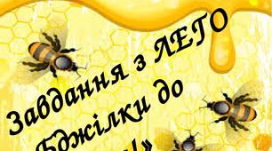 Завдання з ЛЕГО "Бджілки, до вулика!"  2 клас