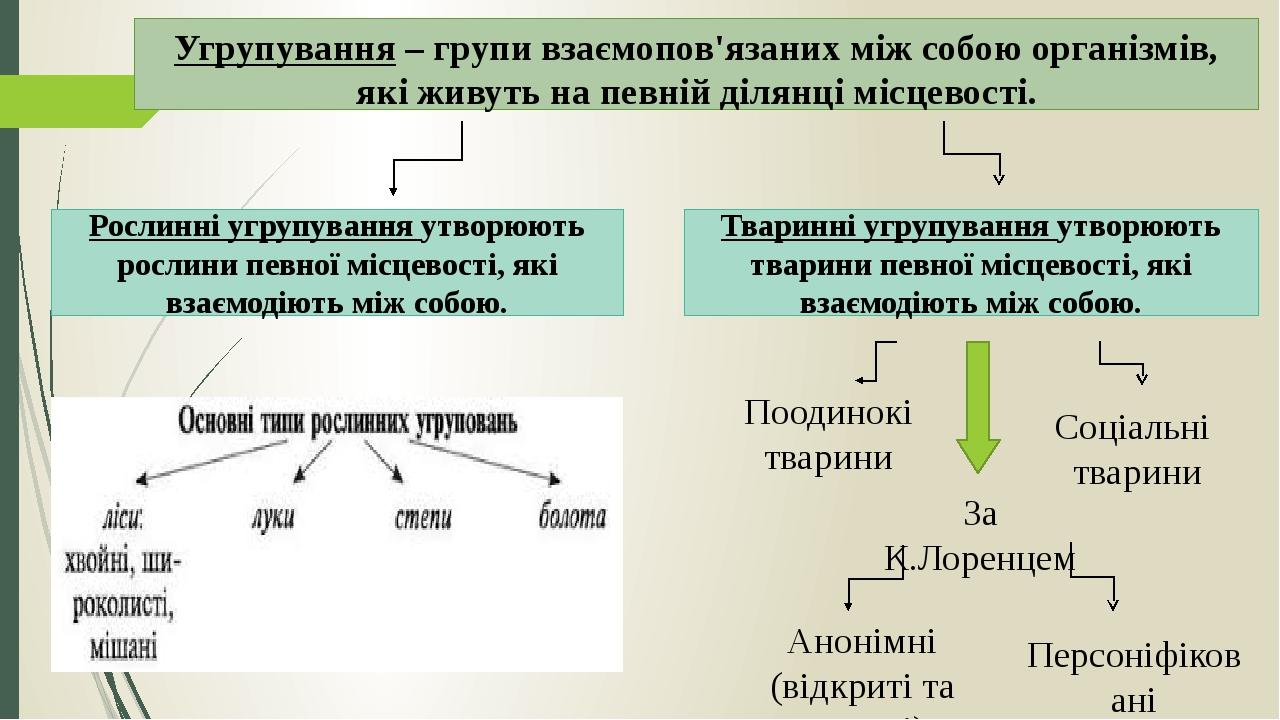 Угрупування – групи взаємопов'язаних між собою організмів, які живуть на певній ділянці місцевості. Рослинні угрупування утворюють рослини певної м...