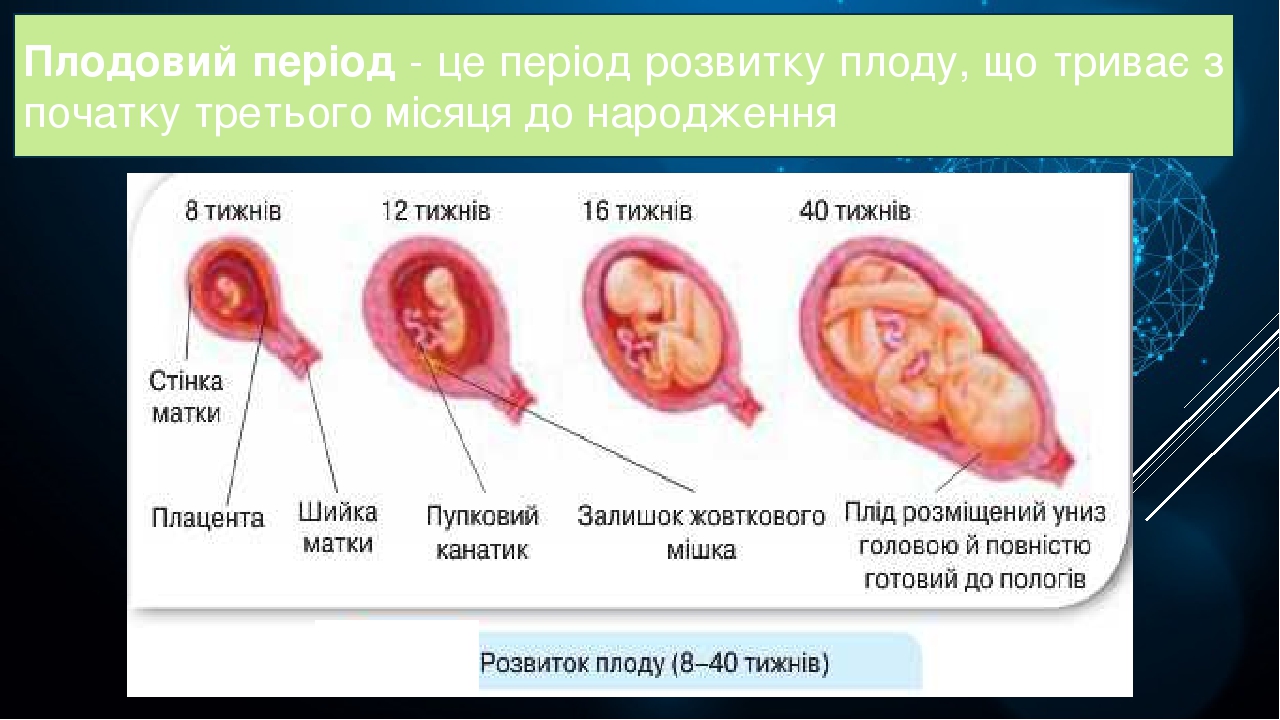 скільки триває скидки на хелловін