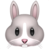 Rabbit Face
