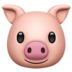 Pig Face