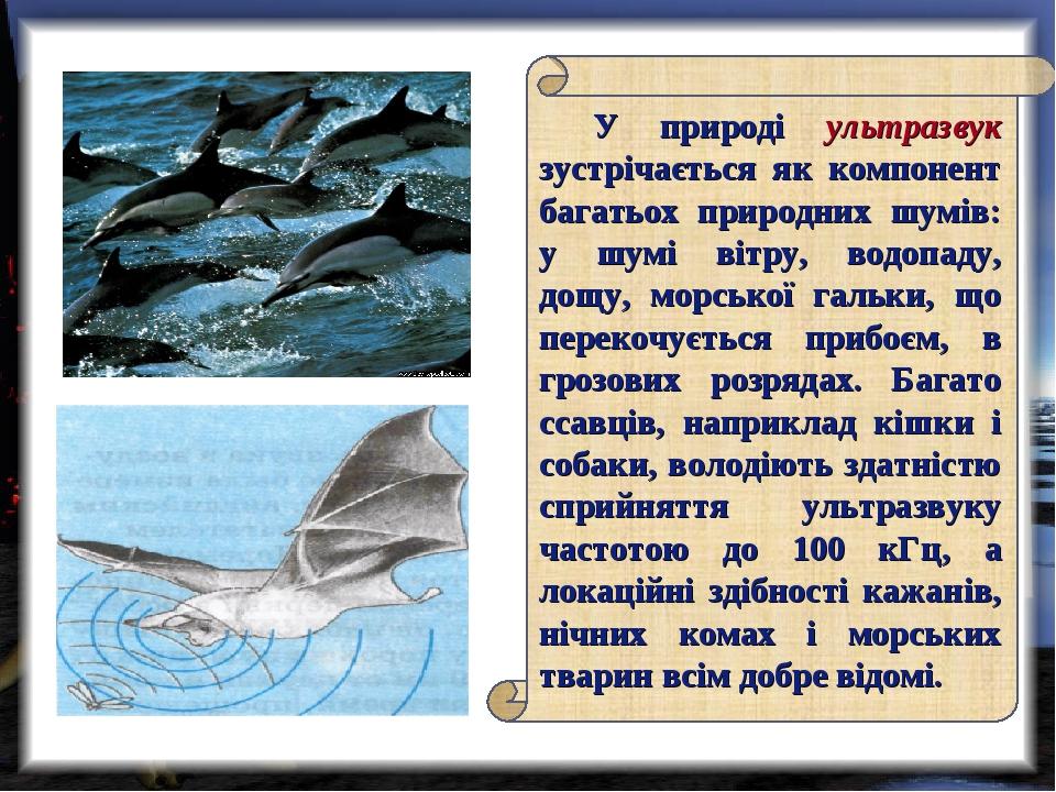01d-0x0.jpg?t=67ad64edcaa8d1ae0706585cbc87124d