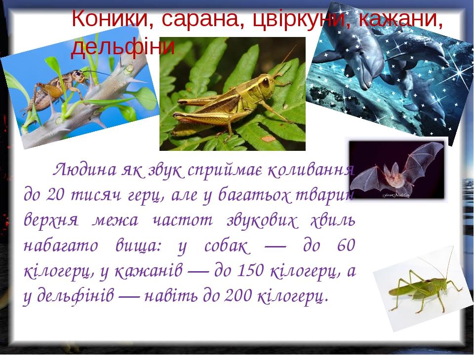 01e-0x0.jpg?t=67ad64edcaa8d1ae0706585cbc87124d