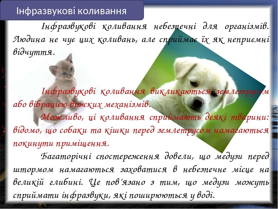 01f-0x0.jpg?t=67ad64edcaa8d1ae0706585cbc87124d