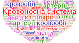 Дихальна, кровоносна система.