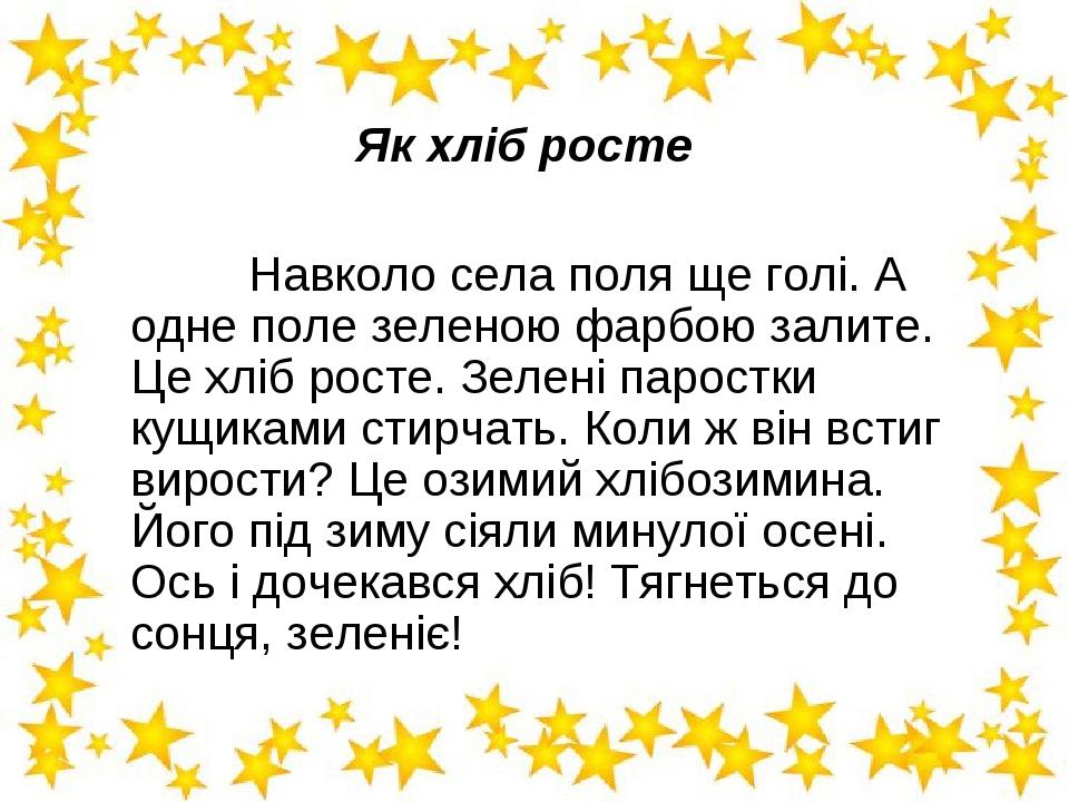 Тексти для списування 2 клас | Інші методичні матеріали. НУШ