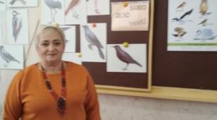 Інтегрований урок. "Наші пернаті друзі"