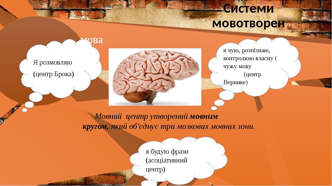 Моторный центр брока