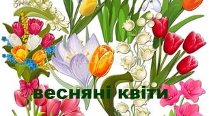 Картки для закріплення лексичної теми "Весняні квіти"