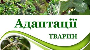 Презентація на тему "Адаптації тварин"