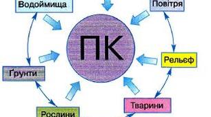 Властивості ґрунтів. Природні комплекси.