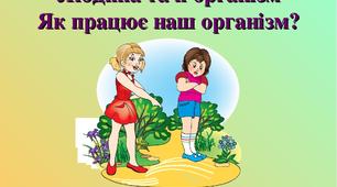 Організм людини. Системи органів тіла людини та їхнє значення для життя людини.
