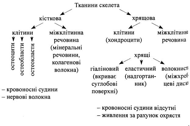 Структура юпитера схема