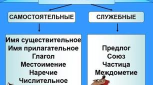 Самостоятельные и служебные части речи.